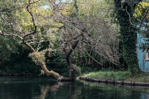 Explorez le tai-chi : l'art ancien qui améliore agilité et souplesse chez les seniors.