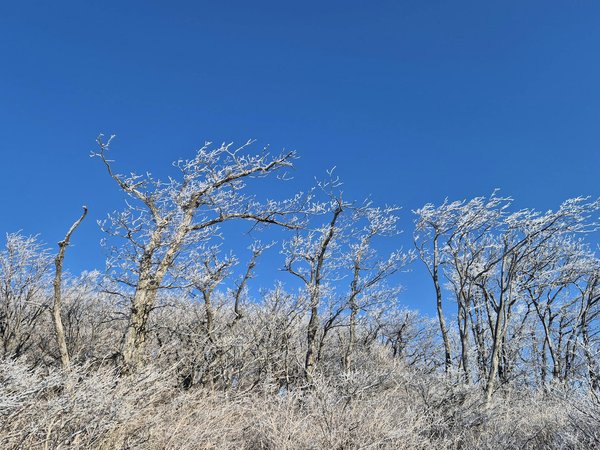 L'Affrontement Entre l'Ordre des Médecins et la Presse : Analyse Approfondie et Défis Émergents